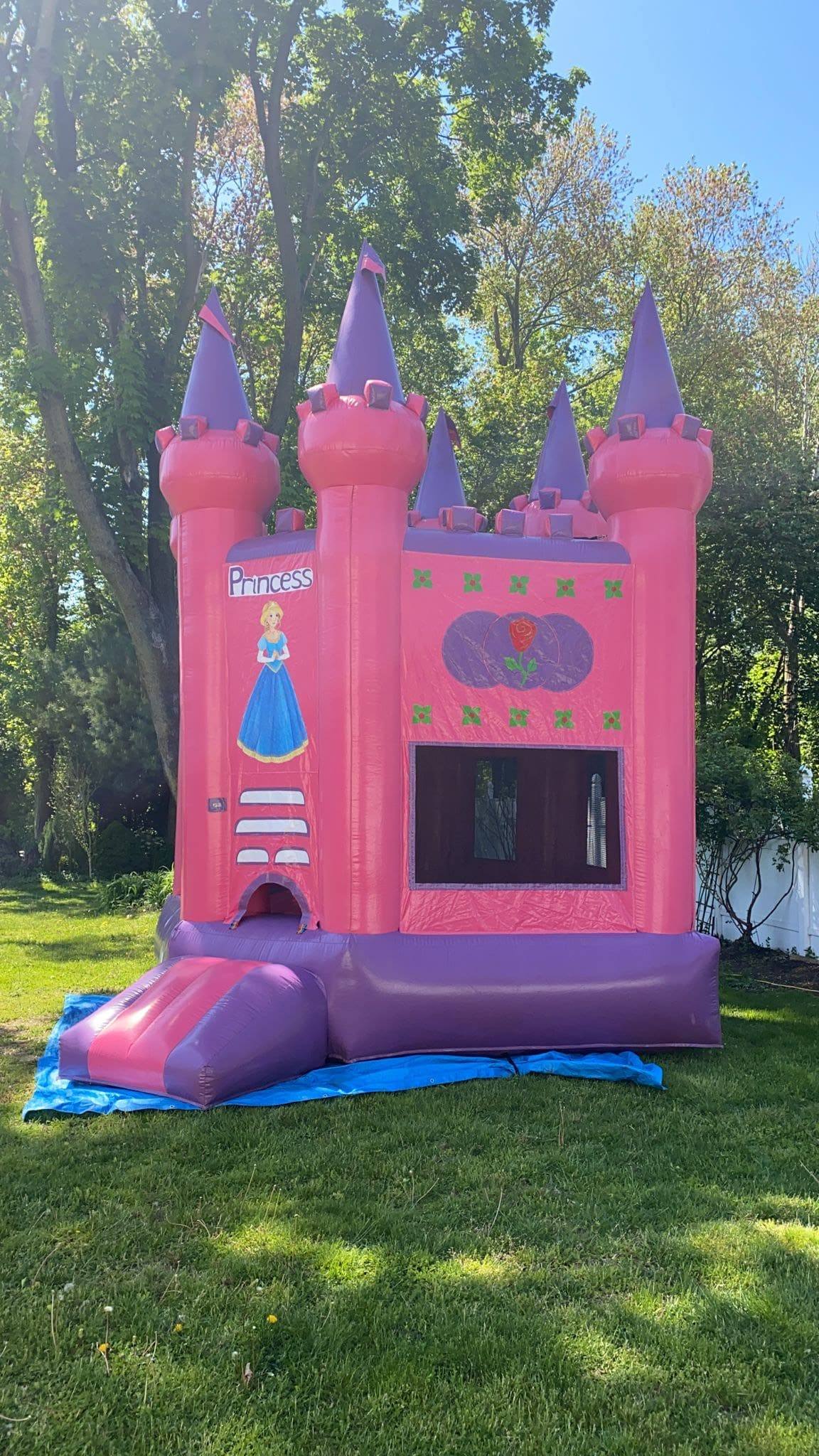 Castle princess Pink thumbnail 2